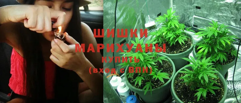 Канабис White Widow  Агидель 